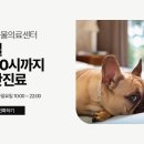 뉴본동물의료센터 이미지