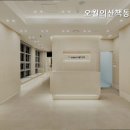 산책 동물병원 네이버블로그