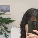 비커밍헤어 이미지