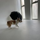일팔퍼센트그레이 - 마포구 희우정로20길 33 | 일팔퍼센트그레이