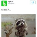 너구리PC방 이미지