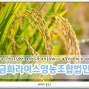 금화영농조합법인 이미지