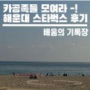2호선 해운대역 3번출구 | 해운대역 스타벅스 카공족들 모여라-! (With. 사회조사분석사)