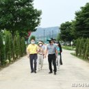 한강시민공원(등수국터널 1) 이미지