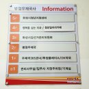 여니네 펫공방 | [블챌] 화성시청년지원센터HEY 7월 하루 클래스 - 반려견 양모 펠트 미니 액자 만들기 후기