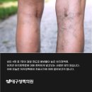 대구청맥의원 이미지