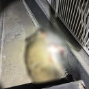 서대구주유소 이미지