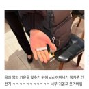 부산대학교 국제전문대학원 | 2026 이화여대 통번역대학원 한중통역과+중앙대 국제대학원 전문통번역(한중전공) 합격 후기