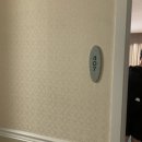 알로하호텔 이미지