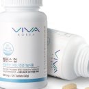 비바코리아 이미지