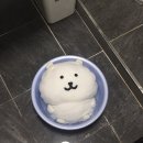 240427 상암콘 후기