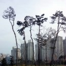 선화로6길 이미지