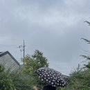 입젠빈티지 이미지
