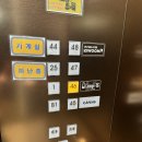 46 | [ 세종 분위기 좋은 칵테일바 라운지 46 후기 ]