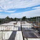 신효동-19 이미지