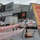 하천(갑천5-1) 이미지