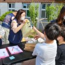 초롱초등학교 이미지