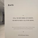 대전 현대아울렛 크리스마스 트리팜, 내셔널지오그래픽 팝업