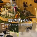 그로우모모 두피 탈모 케어센터 | 포항 헤드스파 추천 모모두피탈모센터 두피관리 솔직후기