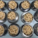 병영자연요양원 이미지