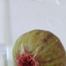 덕곡주유소 이미지