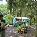 숲속에향기 | [제주 애견동반 여행] 한여름의 시원한 오아시스, 안돌오름 '비밀의 숲' 🌲 휴양림 (feat. 7월 수국길)