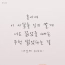 홍시 이미지