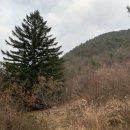 연석산농장 이미지