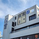 세광유치원 | 김포 애견카페 멍더쿠, 천연잔디 애견운동장 있는 애견동반 카페