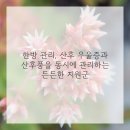 흥재침구과한의원 이미지