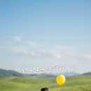 알파아동발달센터