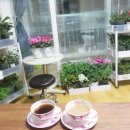 호도귤정원 이미지