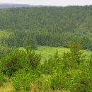 건영목장 이미지