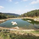 잣향기푸른마을 이미지