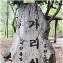 가북구도로삼거리 | 가리산(휴양림주차장~합수곡삼거리~가삽고개~2,3봉~가리산정상~무쇠말재~합수곡삼거리~합수곡삼거리...