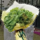 팜한농 | [5월 후기] 국제정원박람회 가다가 온실에 빠졌어요