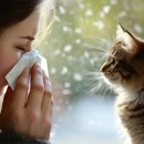 알레르기 종류 바로알기, 대표적인 원인과 흔한 증상 총정리 이미지