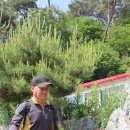 산수동우체국 이미지