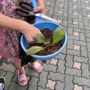 푸른농약사 이미지