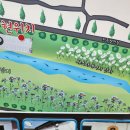 용장리 느티나무 이미지