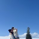 최경환성지 앞 공중화장실 | 일본 삿포로 여행 당일치기 비에이 버스투어 내돈내산 예약 후기