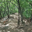 조견사우 이미지