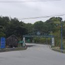 고원로 | 🏌️강원도 횡성) 웰리힐리CC 1박2일 골프여행 후기 /북코스·남코스 난이도부터 숙소·맛집까지(+체력 중요!)