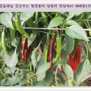 땅끝농업협동조합 이미지
