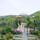 567가드닝