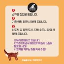 하늘을나는그림책학원 이미지