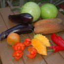 한골농장 이미지