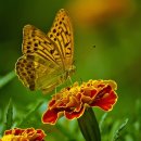 학성골프연습장 이미지