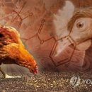 경산농약 이미지