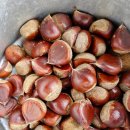 밤나무집 민박 이미지